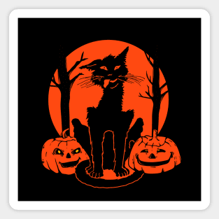 Black cat and two pumpkins Magnet